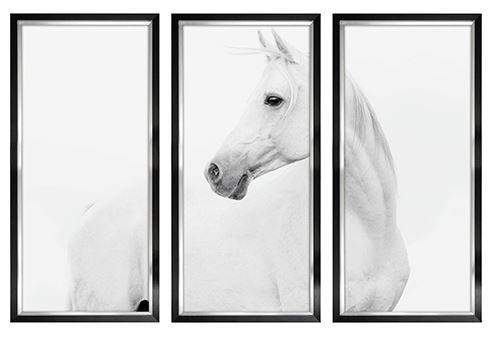 3 luik fotoprint wit paard