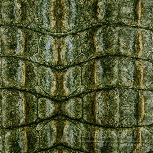Ice Velvet Croco 17028 Army 6016