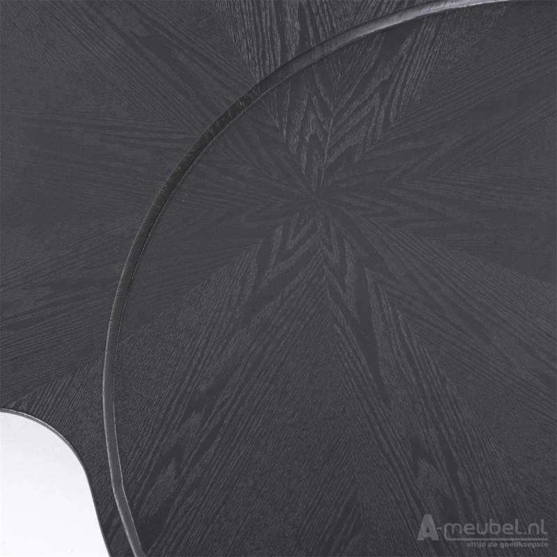 Salontafels Fay - 162x108x31cm - Zwart - 95971