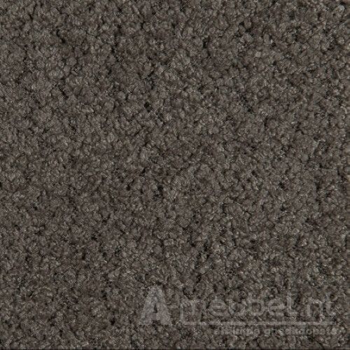 Teddy Light Brown