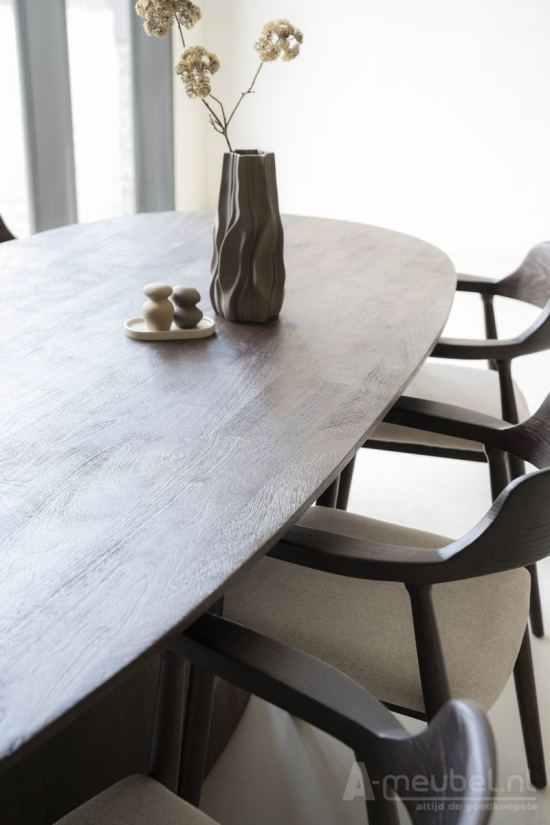 Eettafel Aron ovaal 250x110 - Bruin - 95670 250cm – foto 3 – A-meubel