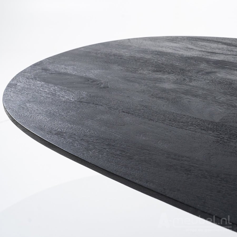 Eettafel Aron ovaal 250x110 - Zwart- 95671 250cm – foto 4 – A-meubel