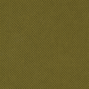 Curio 35