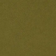 Curio 35