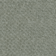 Movie 9282 Thyme