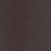 Colour 235 Mocca