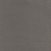 Colour 740 Elephant