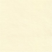 Colour 75/01 Bisquit
