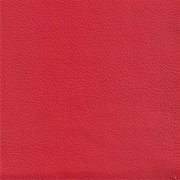 Colour 845 Loud Red