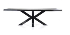 Boomstam tafel met spinpoot zwart- 240x100
