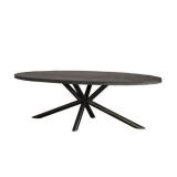 Eettafel Ovaal Selva Eettafel Ovaal Selva