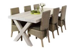 Alkmaar Eettafel-X