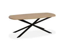 Eettafel Ovaal Alkmaar