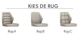 Eetkamerstoel Brisbane - MAGAZIJN OPRUIMING - Goldy Mist 11 - 2x