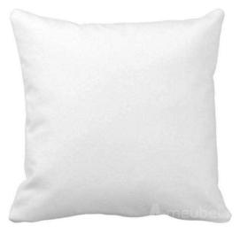 Tynaarlo Sierkussen 55x55cm - MAGAZIJN OPRUIMING - Aphrodite 06 - 2x