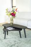 Salontafel Guus Set van 2 110cm/70cm - Zwart - 220150
