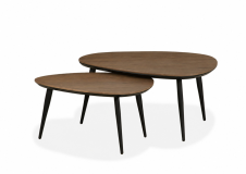 Salontafel Leerdam set van 2