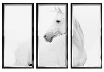 3-luik wit paard