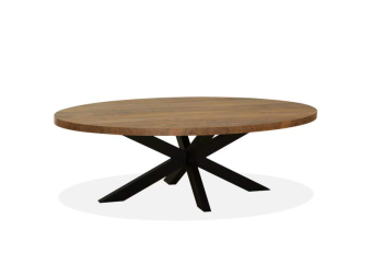 OP=OP Zoetermeer Salontafel Ovaal